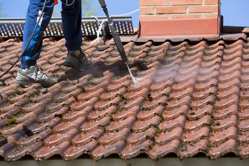 Roof Cleaning Services